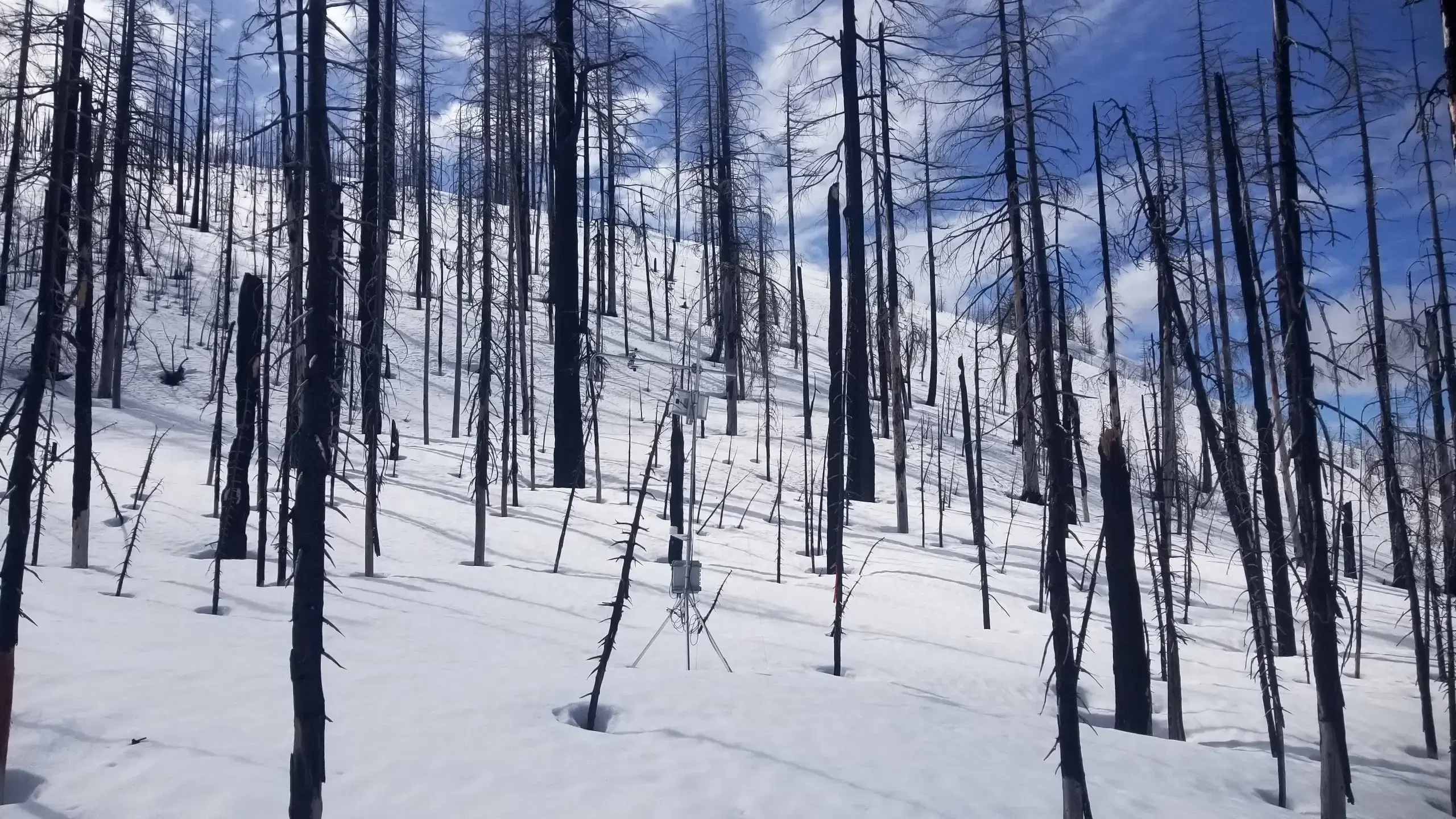 Monitoring Snow Water Resources in the Burned Forests of Oregon’s Cascades