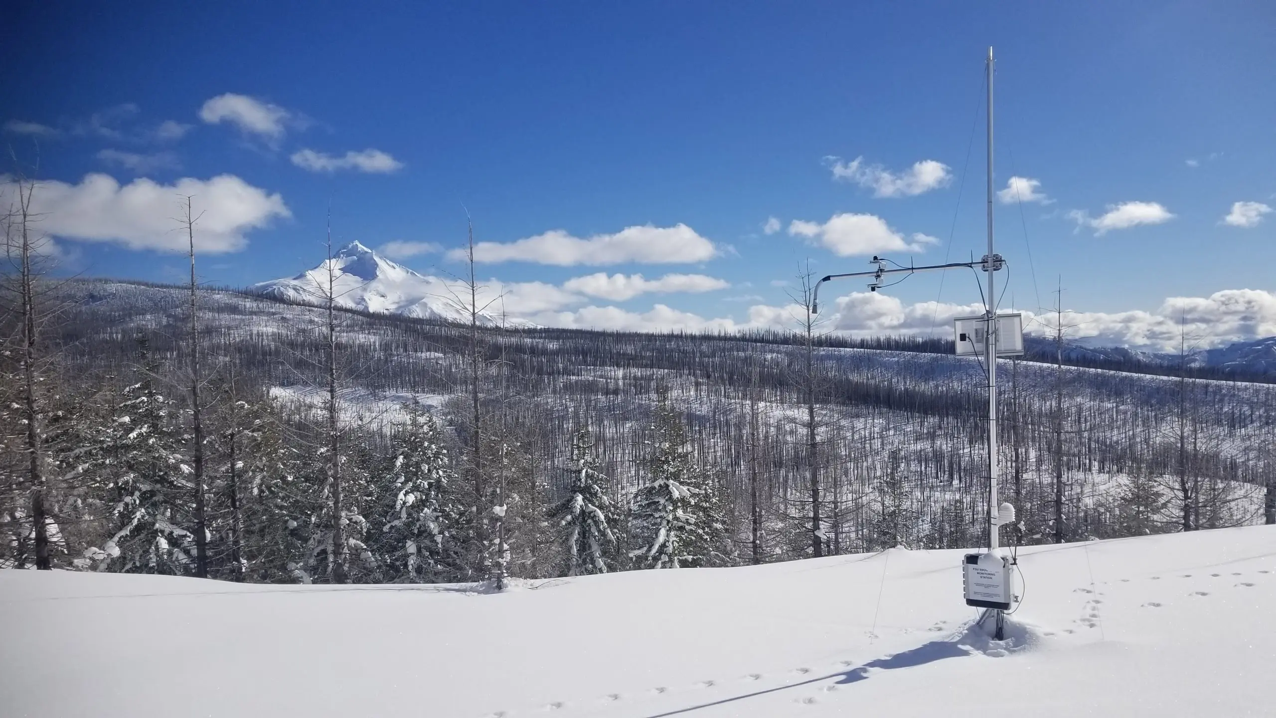 Mount Jefferson is the backdrop for the monitoring stations. This Cryologger station is located in an open area in the highest elevation band of the study drainage.