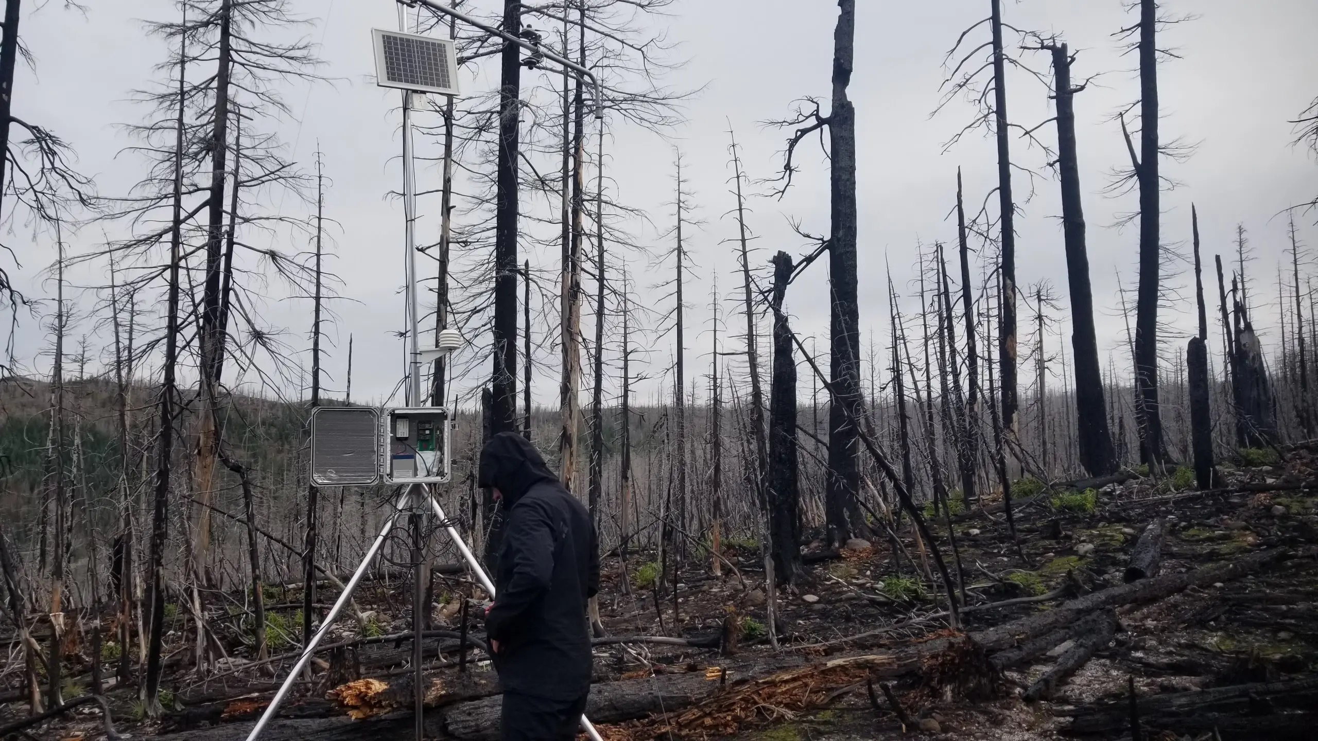 Devon Vigil assesses how well one of the Cryologger stations is collecting data during installation in the fall of 2023.