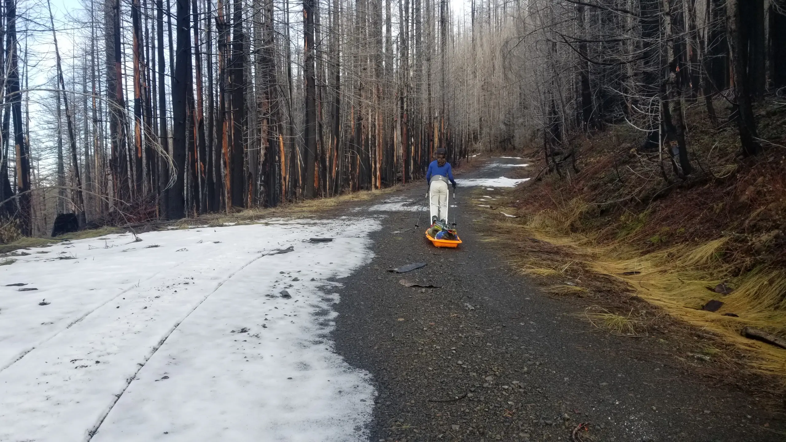 Downed trees, deep intermittent snow, and melted-out portions of the road made for difficult installation conditions in the fall of 2022. Here, Nani Ciafone drags some heavy equipment up the seven-mile forest road to the sites.